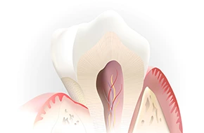 Hermon Family Dental 