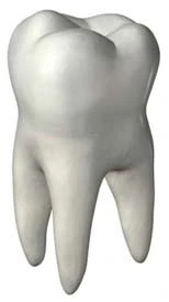 Hermon Family Dental 